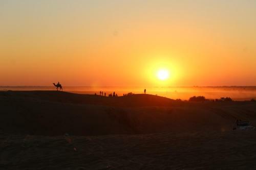 Incredible Desert Camp & Safari