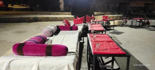 Incredible Desert Camp & Safari