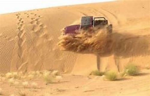 Hostal Wild Heritage Desert Camp