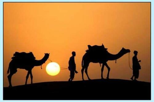 Bed & Breakfast Hotel Sandview And Safari Camp