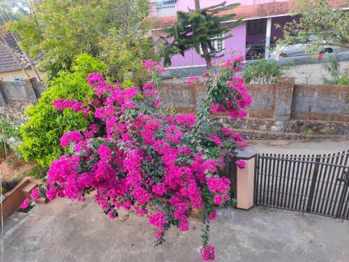Nivaasana Bed & Breakfast