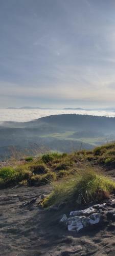 Wayanad Backpackers Camping