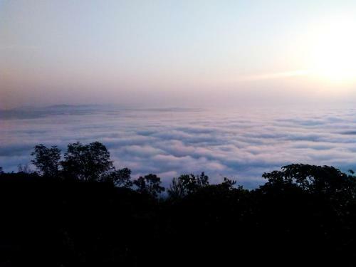 Wayanad Backpackers Camping