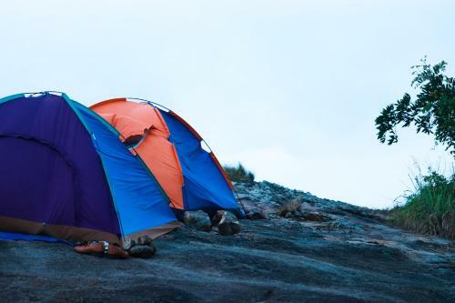 Wayanad Backpackers Camping