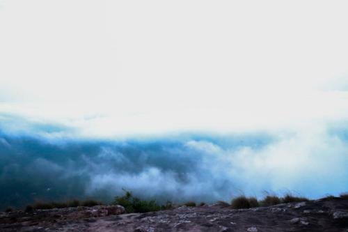 Wayanad Backpackers Camping