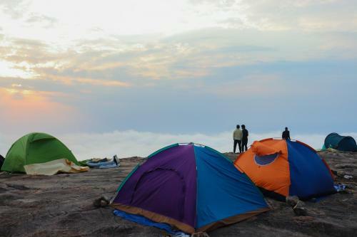 Wayanad Backpackers Camping