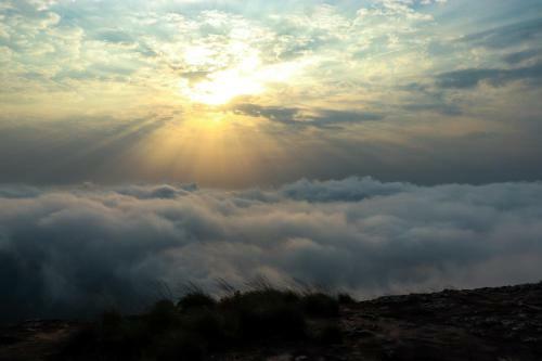 Wayanad Backpackers Camping