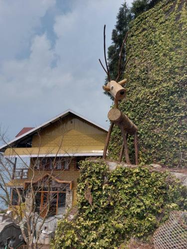 Hotel Jopa Delo Inn
