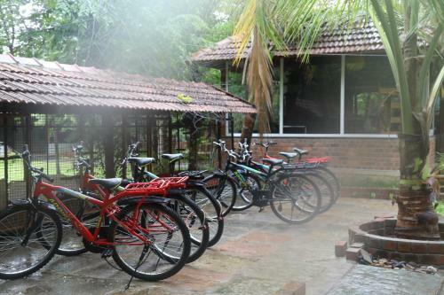 Hotel Brown Town Resort & Spa