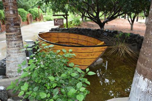 Hotel Brown Town Resort & Spa