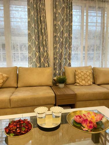 Dash Hotels - Affordable Luxury