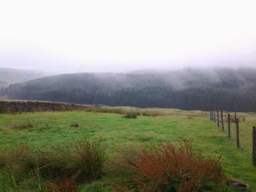Hill Top Cottage - Killhope