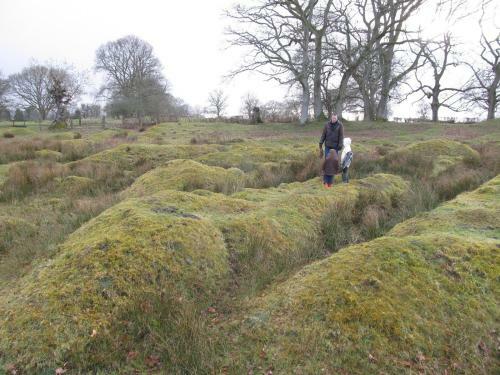 Hostal Highland Moors