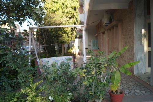 Stayvillas Shastri Nagar Jodhpur