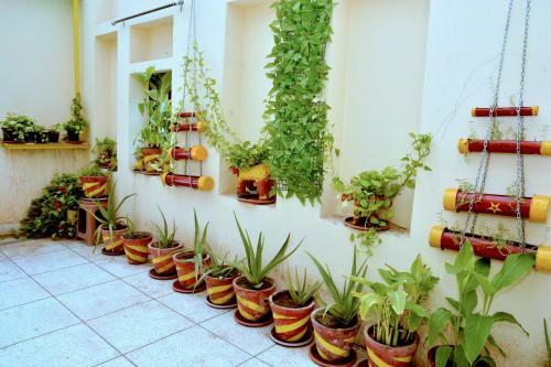 Bed & Breakfast Vyas Haveli