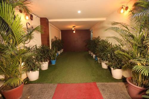 Hotel Starex