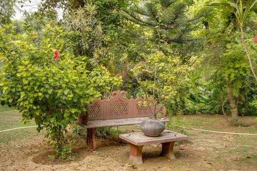 Villa Hostie Chinar Haveli - Heritage Home With Pool, Gurgaon