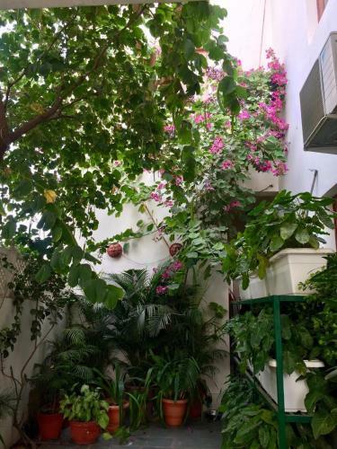 Dera Jaipur Homestay
