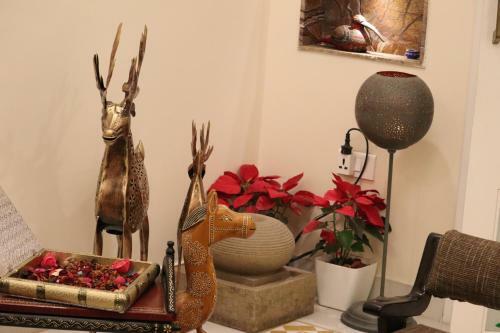 Villa Pushpanjali - The Boutique Stay