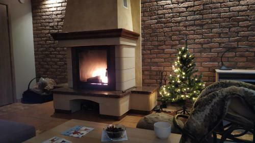 Bujak�w, Apartamenty Zdrojowa 58a