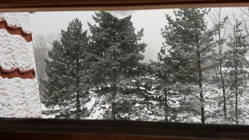 Bujak�w, Apartamenty Zdrojowa 58a
