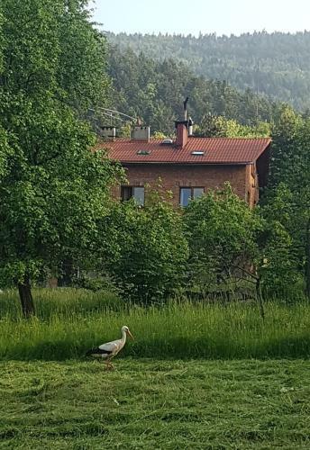 Bujak�w, Apartamenty Zdrojowa 58a