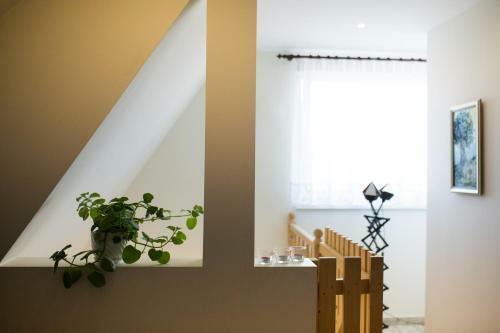 Apartamento Pokoje "u Walusia"