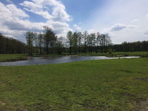 Agroturystyka Nad Stawem