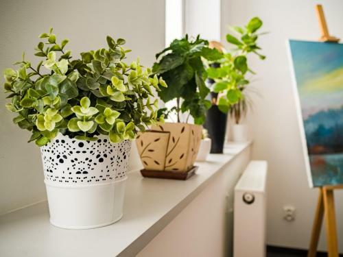 Apartamento Bytom Square