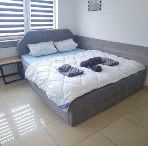 Apartament Rudy 102