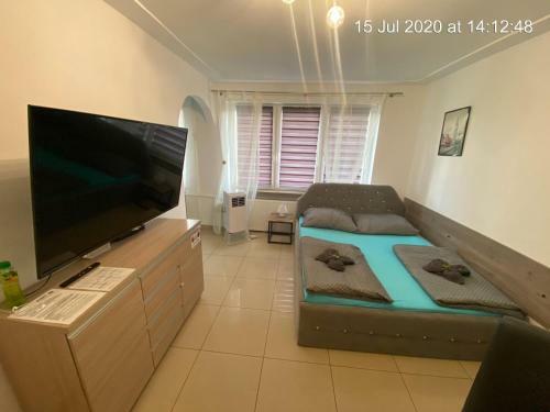 Apartament Rudy 102