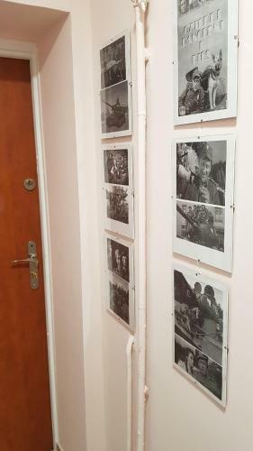 Apartament Rudy 102