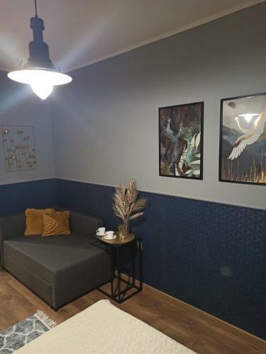 Apartament Cch - Biskupia