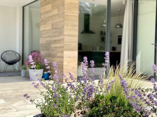 Le?ny Apartament - Shuuumi Las