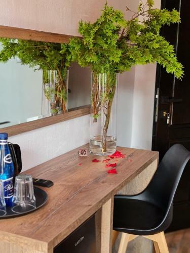 Hostal Villa Slavia