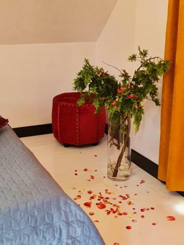 Hostal Villa Slavia