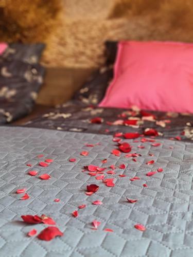 Hostal Villa Slavia