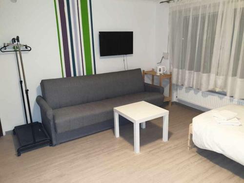 Apartamenty Flisy