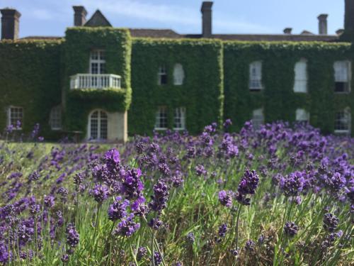 Lucknam Park Hotel