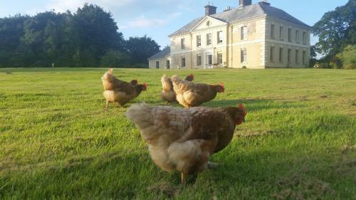 Kelly House Country B&B