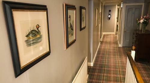 Hotel Arundell Arms