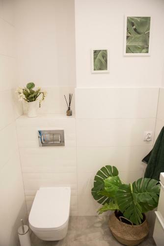 Apartament Zielone Arkady