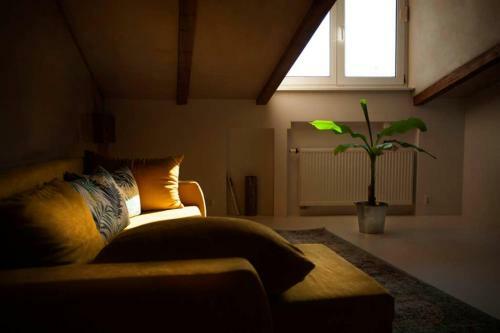 Caly Apartament
