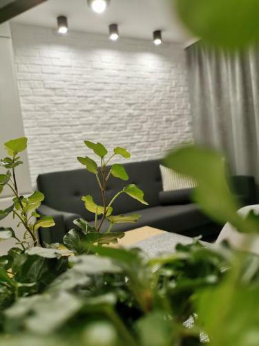 Apartament Si Bella