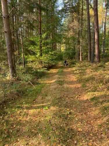 Apartamento Minuta Ciszy