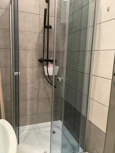 Apartment Chorzow Center
