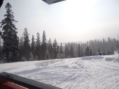 Bed & Breakfast Harmat�wka