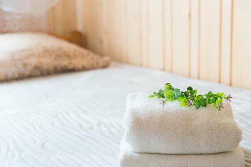 Apartamento Szarotka