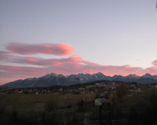 Agrotatry U Stachy