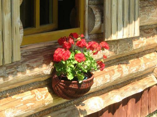 Agroturystyka U Jagodow Domek Goralski